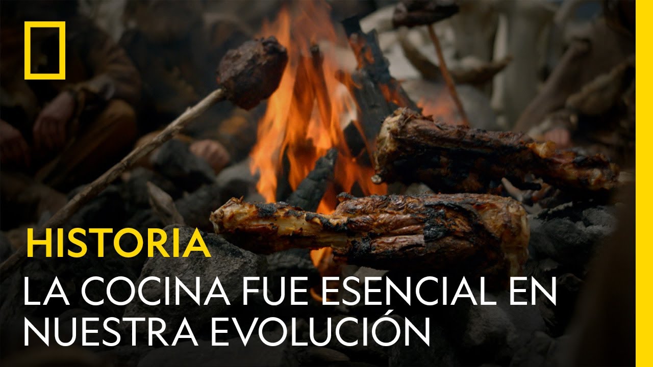 Por qué la cocina fue esencial en nuestra evolución