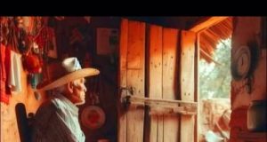 ¡NO ES CULPA DE LAS NUERAS ó YERNOS!