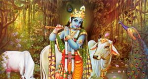 ¿Por qué las vacas son sagradas en la India?