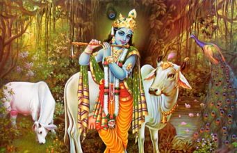 ¿Por qué las vacas son sagradas en la India?