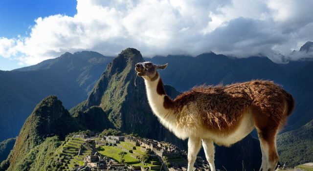 ¿Por qué escupen las llamas?