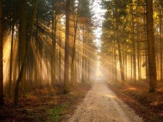 Amado Nervo – En Paz