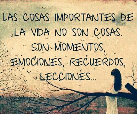 Frase de la semana del 25/05 al 31/05